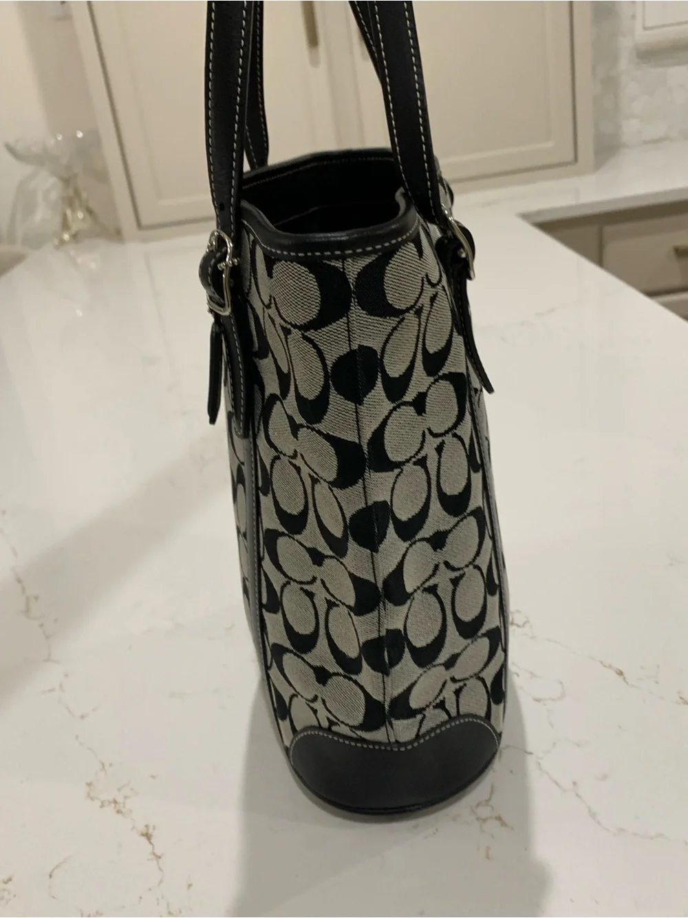 Coach Canvas Tote in Black Hampton Bag